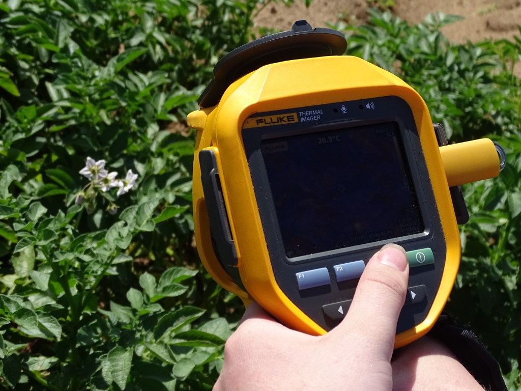 Hand holding device with screen above potato plants